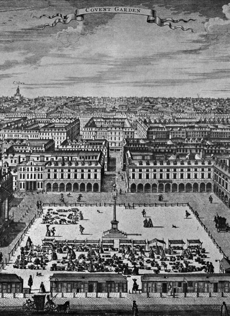 History-Beneath-Our-Feet