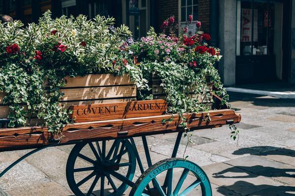 Covent Garden Cart