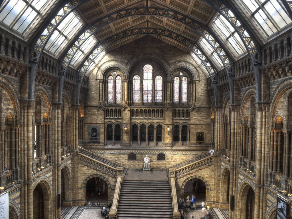 The_Natural_History_Museum_1024x768